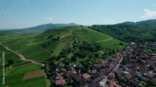 Rows of vines in fields in France. photo