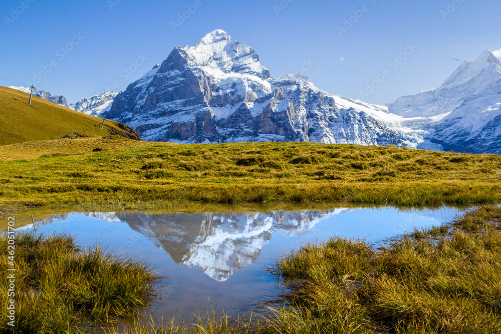 The Alps peak Wetterhorn and its reflection over the First plateau in Grindelwald, Bern Oberland in Switzerland