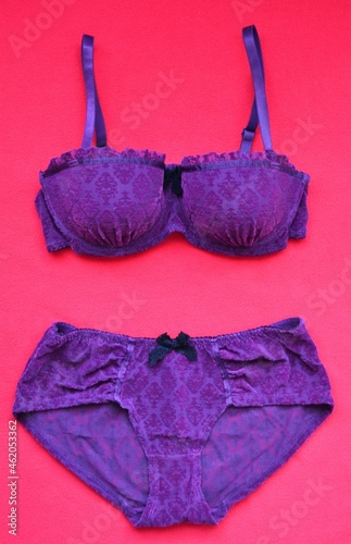 Wallpaper Mural Set of underwear, bra and panty, in purple brocade velvet fabric on a red background Torontodigital.ca