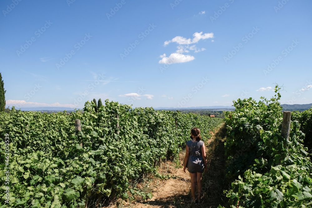 The girl in a mask on a vineyard background. The girl in a mask on a vineyard background.