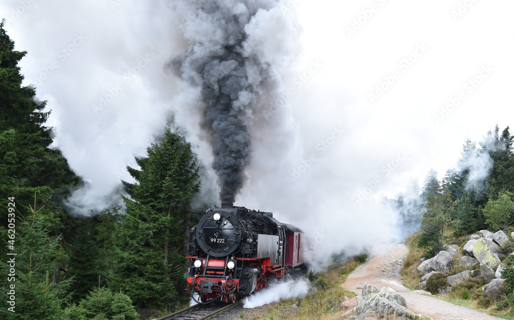 Harzer Schmalspurbahn fährt zum Brocken 