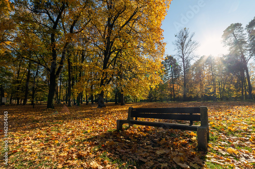 Autumn scene in a city park.