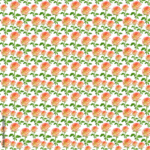 Roses and leaves pattern background.