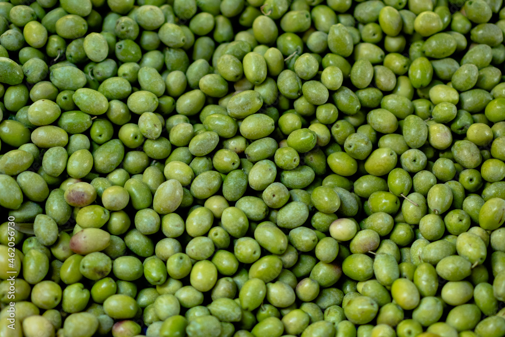 freshly picked green olives ahead of time