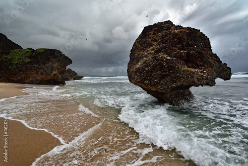 The rocks formation on the beach of Bathsheba, East coast of island Barbados, Caribbean Islands photo