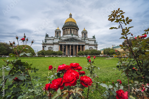 Saint Isaac's Cathedral and bushes of red roses. Saint Petersburg, Russia