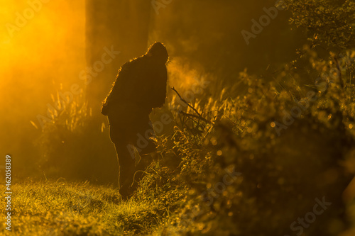 Masked photographer in the forest, hidden and well hidden like a chameleon, nature photography photo