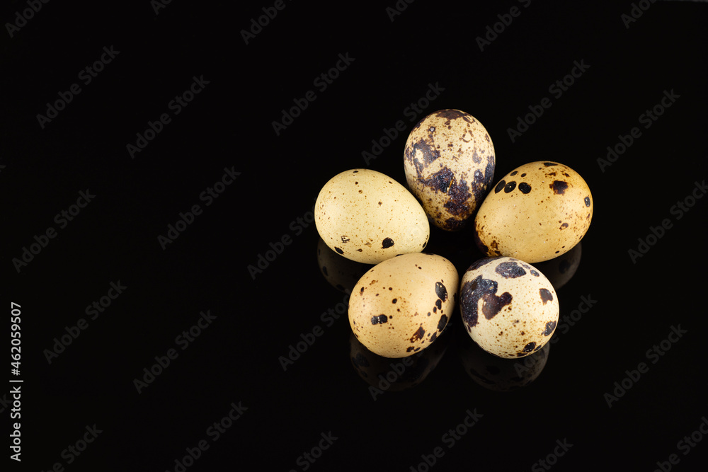 Close up of Quail eggs on black background.