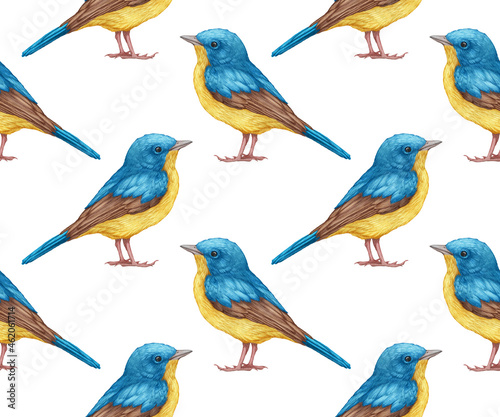 Seamless Pattern with hand-drawn Blue Flycatcher, digitally colored