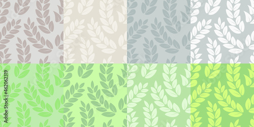 A set of endless patterns of leaves or twigs of ash-tree, olive, acacia, goat's rue, quina in pastel gray and greenish tones on a solid background. photo