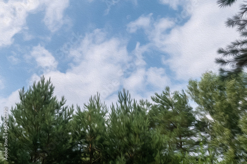 Spreading branches of fir trees and cloudy sky drawing