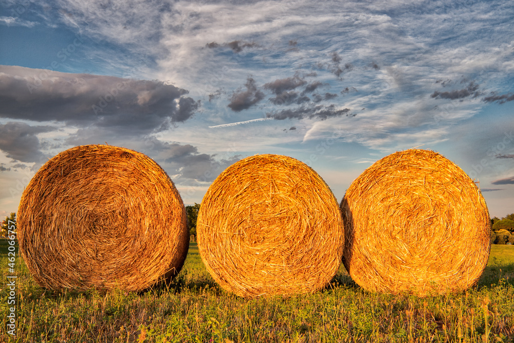 Hay bales in a field