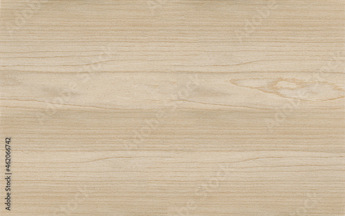 Light brown bleached crown cut oak wood veneer