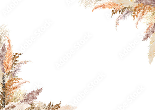Pampas grass border painted with watercolor. Boho floral neutral colors frame. Botanical boho elements isolated on white. Bohemian style wedding invitation, greeting, card, stickers, scrapbooking