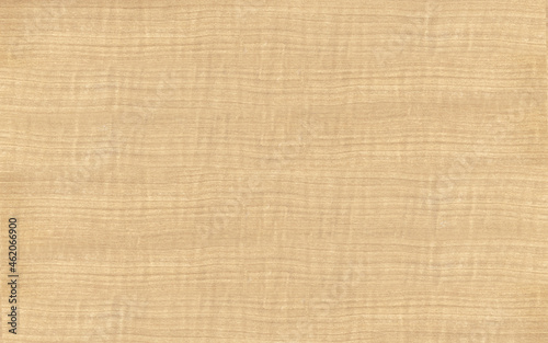 Light bleached Eucalyptus wood veneer seamless
