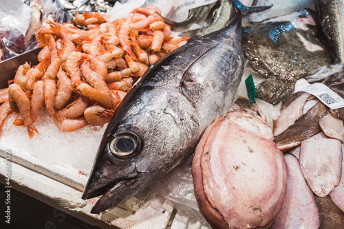 Świeże owoce morza na miejskim targu.