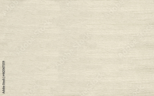 Bleached minimal white wood veneer texture