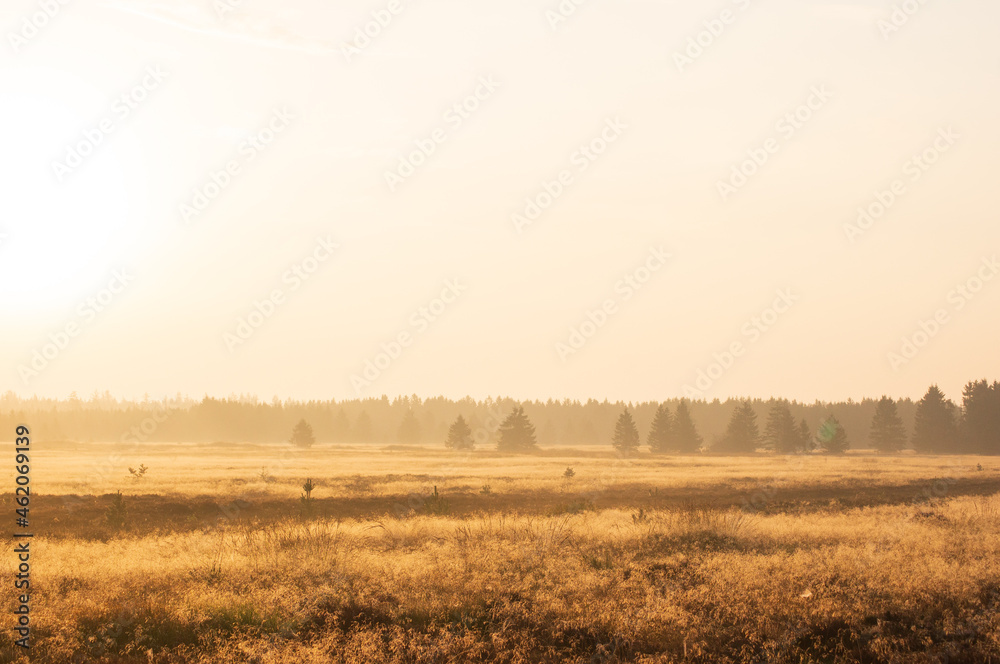 Obraz premium Sonnenaufgang 1