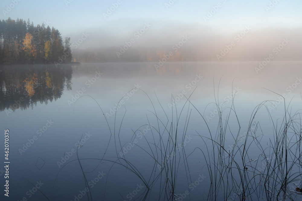 Misty lake in the morning