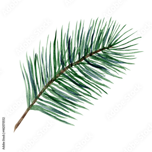 Bright green watercolor coniferous branch illustration for New Year greeting cards and banner decor