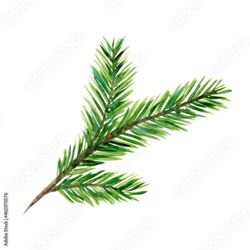 Bright green watercolor coniferous branch illustration for New Year greeting cards and banner decor photo