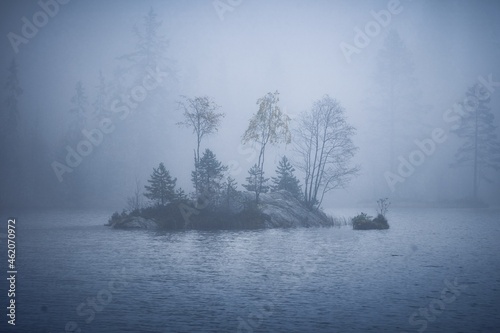 Fog. Autumn and the fog is so dense it is difficult to see more than a couple of meters. © SteinOve