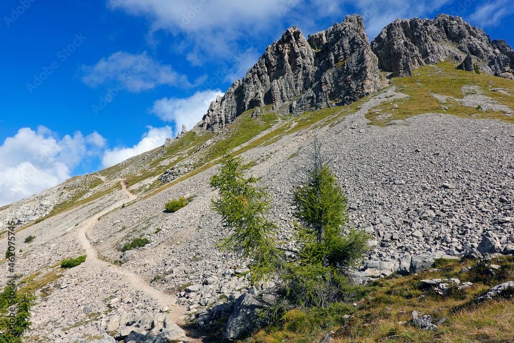 Mount Castellaz, trekking of the Thinking Christ, peak of the Dolomites in Italian Alps, UNESCO world heritage site in Trentino Alto Adige, Passo Rolle, Italy, Europe