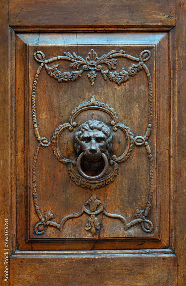 Fragment of an old wooden door with a bronze door handle in the shape of a lion's head                 