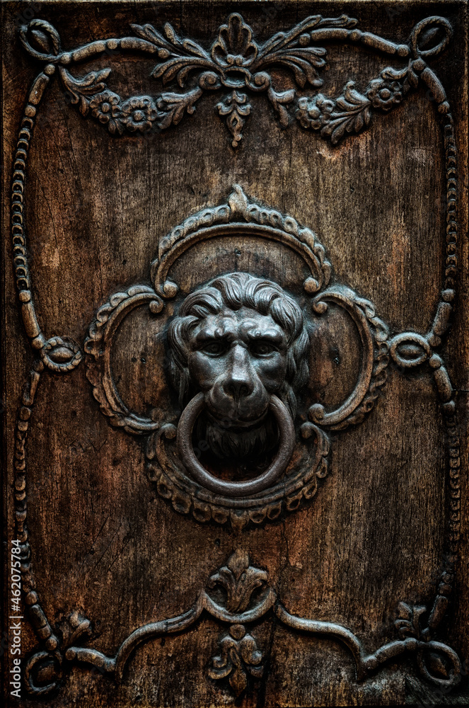 Fragment of an old wooden door with a bronze door handle in the shape of a lion's head Fragment of an old wooden door with a bronze door handle in the shape of a lion's head