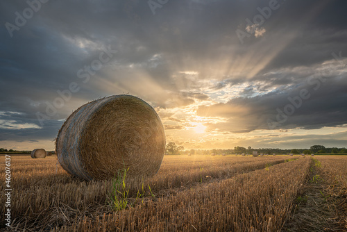 Sunset over a harvested cornfield with straw bales photo