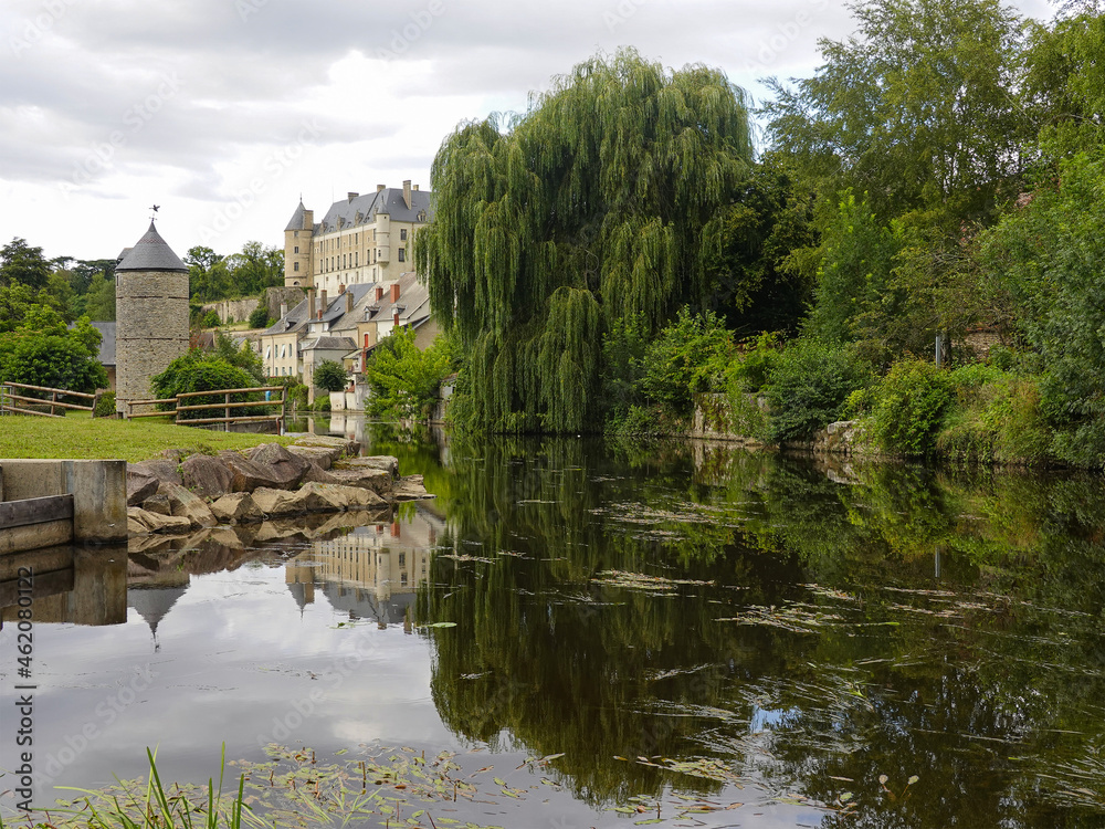 Riparian, riverine or riparian forest with a beautiful castle of France.