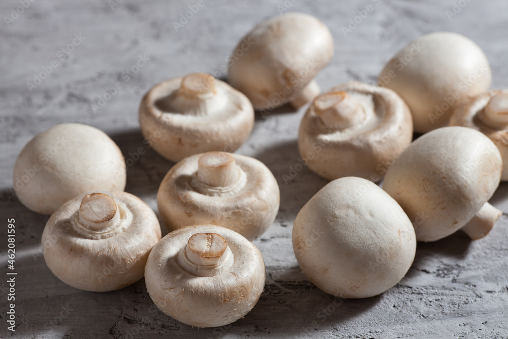 Mushrooms on a gray concrete background, close-up
