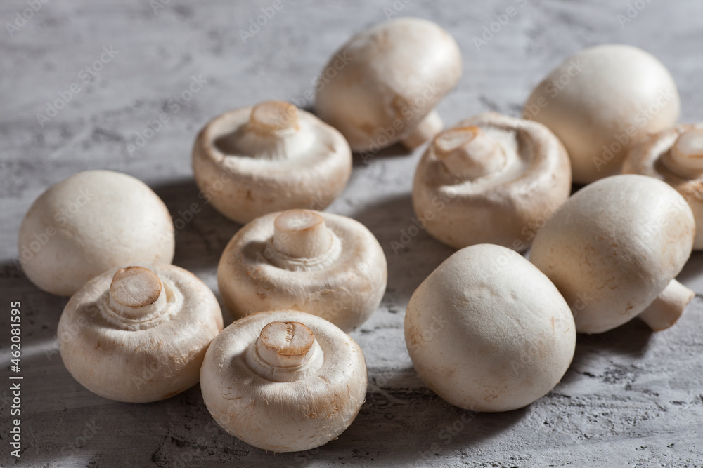 Mushrooms on a gray concrete background, close-up Mushrooms on a gray concrete background, close-up