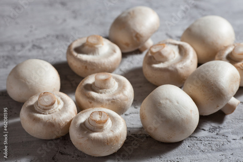 Mushrooms on a gray concrete background, close-up