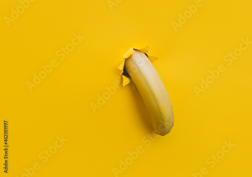 A large banana curved downward through a torn hole in yellow paper. Tropical fruit, vegetarianism. Bright background with copy space.The concept of impotence, erectile dysfunction, joke.Half past five photo