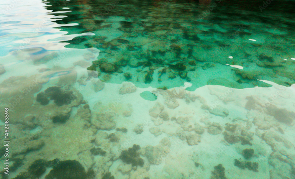 Shallow coral reef seen from a boat at Phi Phi Islands in Thailand.