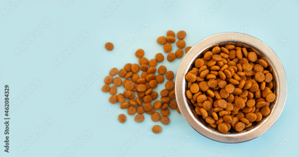 dry animal food in a bowl on a colored background
