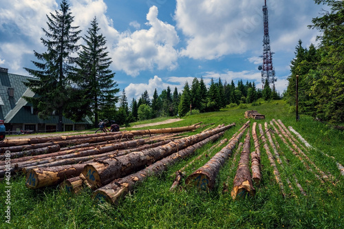 Schronisko translated as tourist shelter next to chopped woods in polish mountain against telephone mobile tower, located in Beskid Sądecki , in the Radziejowa Range near Prehyba photo