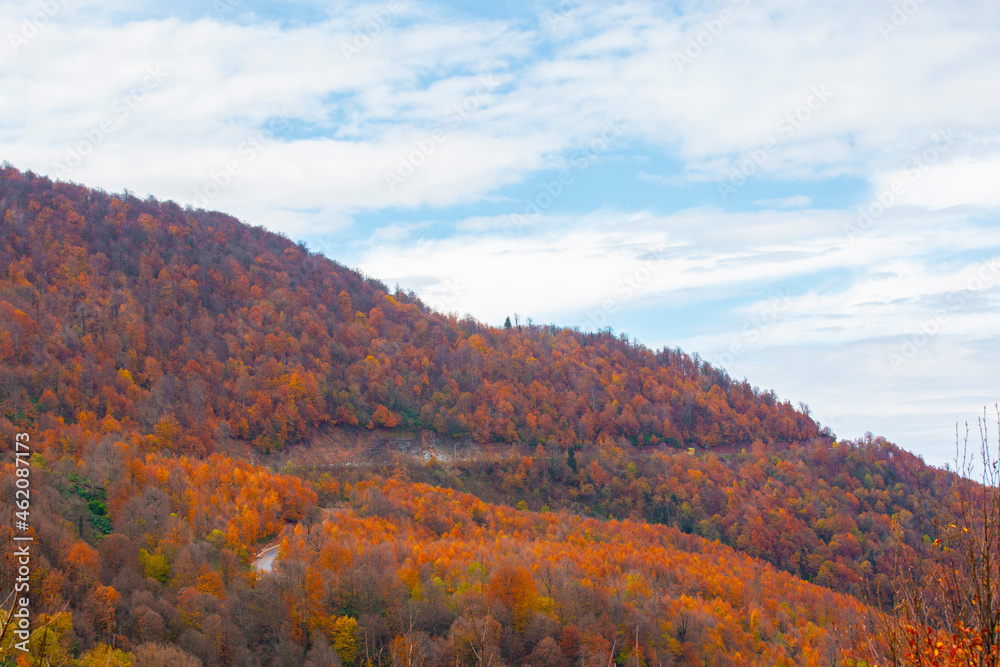 Autumn and winter colors in mountains and forest