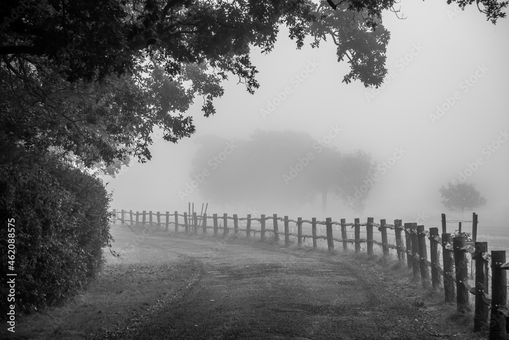 Foggy morning by the enterance to the farm covered in mist, Billingshurst, West Sussex, UK.