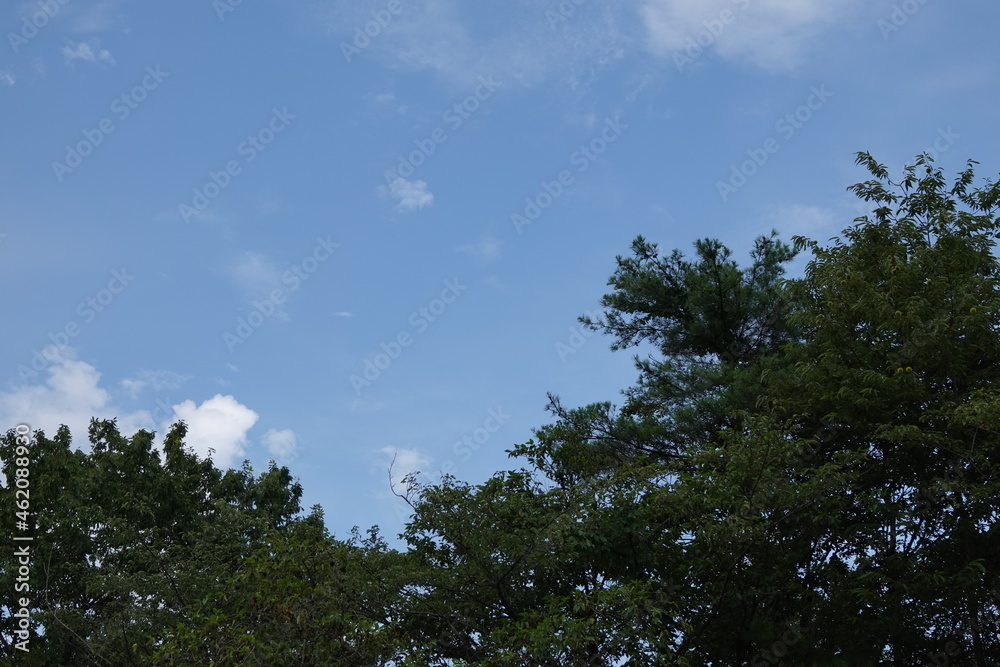 夏の青空1 夏の青空1
