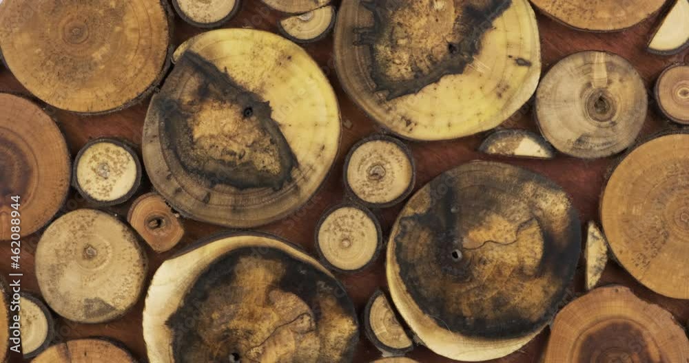 Rotation of round wooden natural cuts of trees of different sizes. Wood panel made from cuts from a tree trunk. Art panel