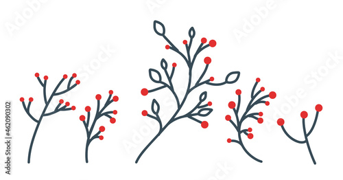 Collection of hand-drawn Christmas decorations. Holly  red berries  Christmas ball. A beautiful vector set of twigs with red berries for creating postcard designs  invitations and more.