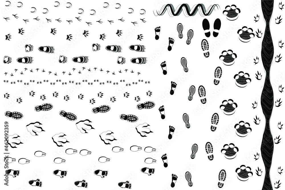 Footprints, steps, traces big set of isolated icons, black and white vector