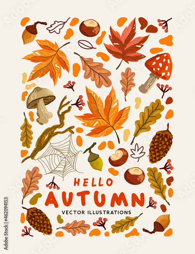 A collection of Autumn natural elements. Fall background design vector illustration.