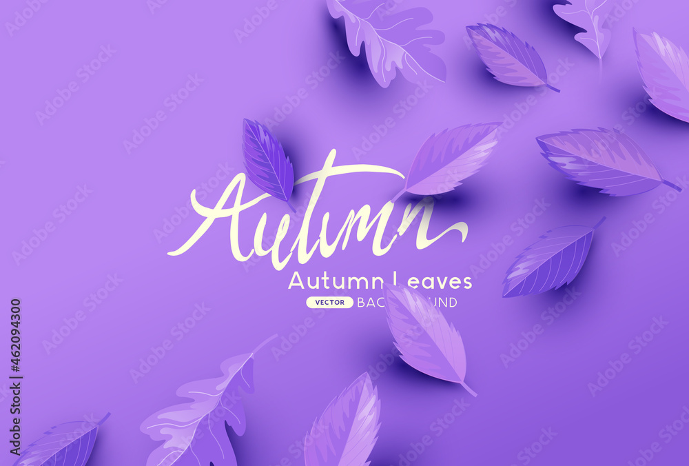 Purple Falling autumn leaves background with copy space. Autumn fall vector illustration