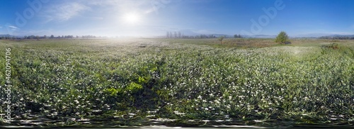 Narcissus panoramic drone 360