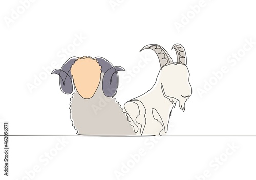 One single line drawing of goat and sheep head. Muslim holiday the sacrifice animal such as goat, camel, sheep and cow, Eid al Adha greeting card concept continuous line draw design illustration