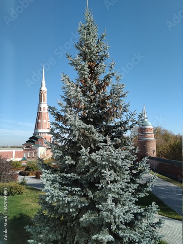 Bild auf Leinwand Little towers of monastery and a fur-tree