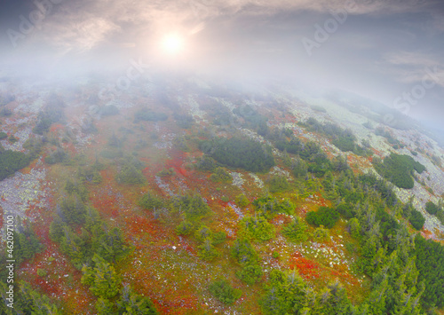 Autumn in Gorgan (Carpathians) from a drone photo